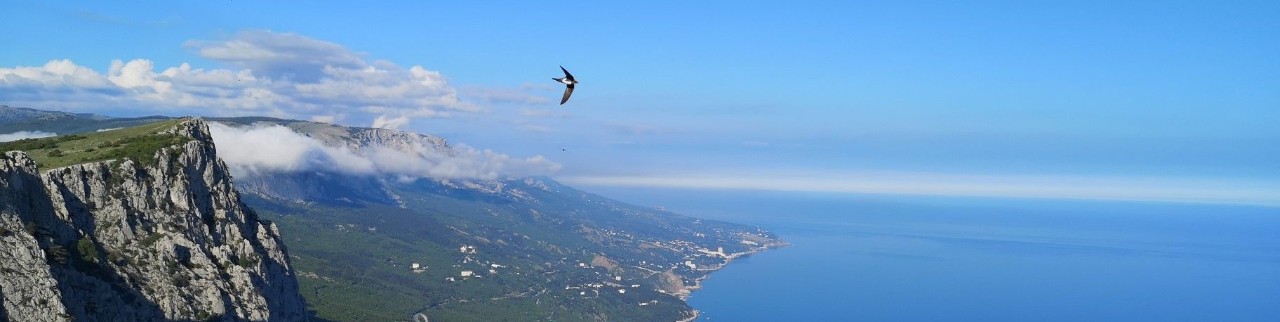 Обложка профиля