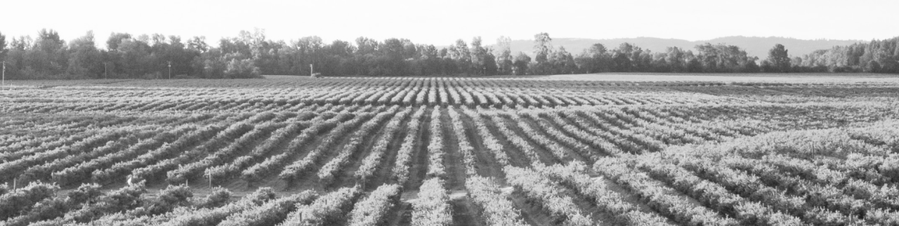 Обложка профиля