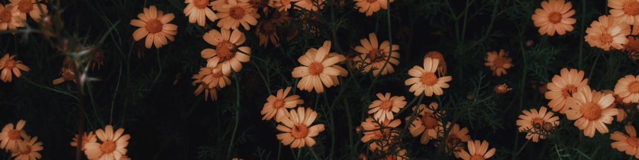 Обложка профиля