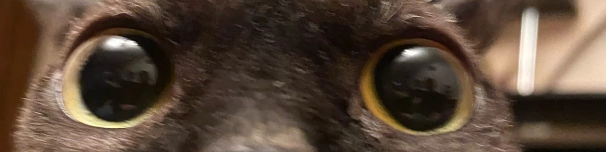 Обложка профиля