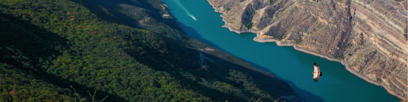 Обложка профиля