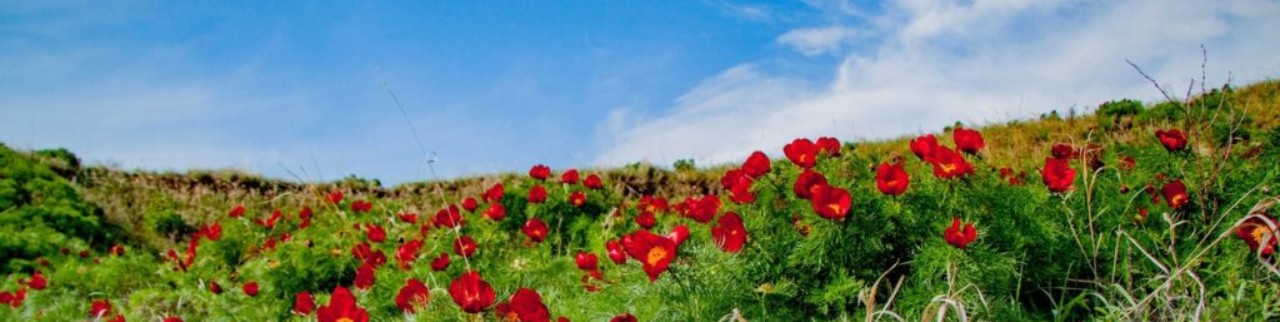 Обложка профиля