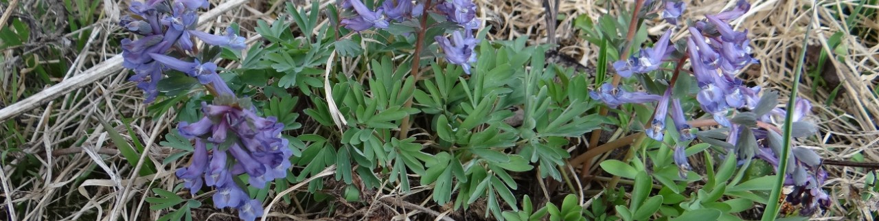 Обложка профиля