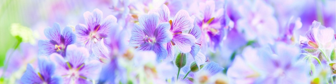 Обложка профиля