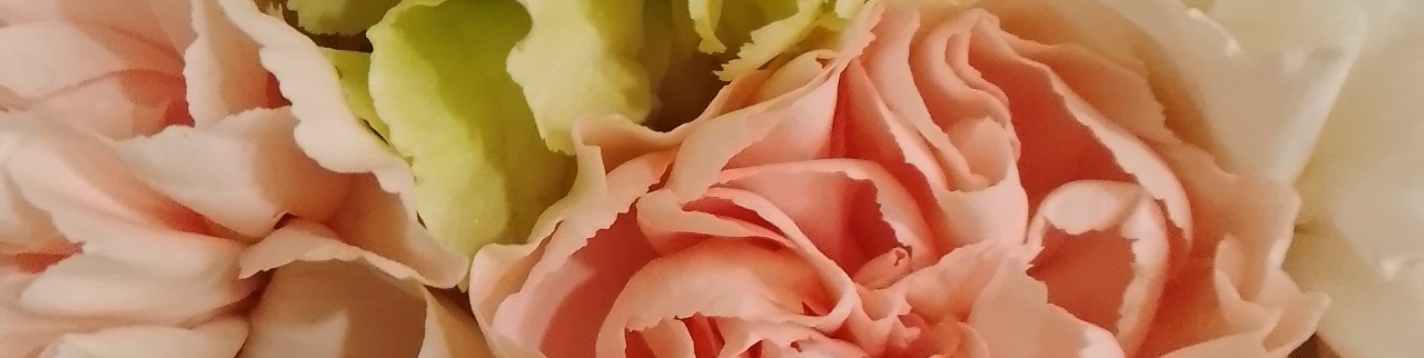 Обложка профиля