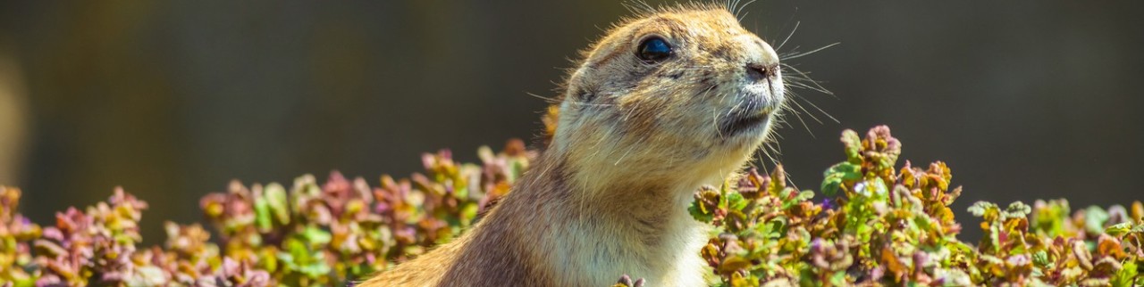 Обложка профиля