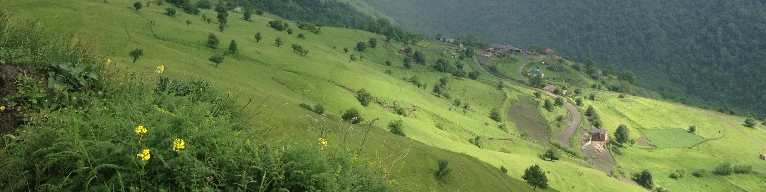 Обложка профиля