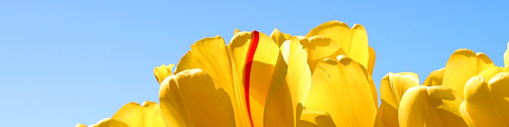 Обложка профиля